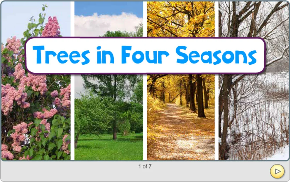 Screenshot of first slide from Trees in Four Seasons component.