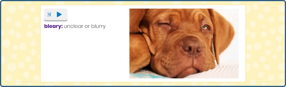 ELA vocabulary definition of word "bleary" with image of sleepy dog.